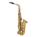 Chateau Alto Saxophone CAS-21L