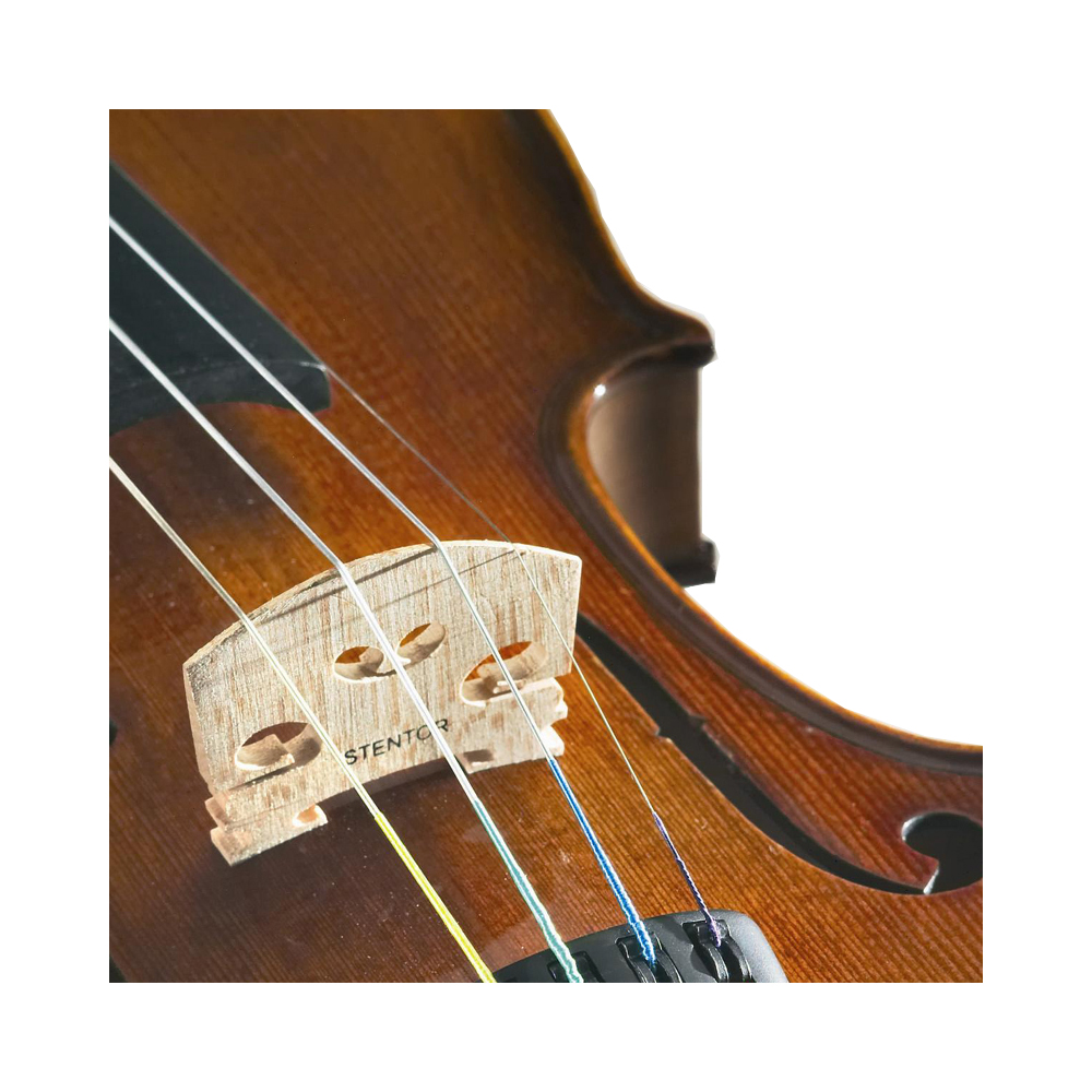 Stentor SR1500 Student II 4/4 violon acoustique avec étui e